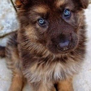 Meet your Posher, Student jazmine